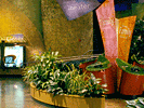 exhibit lighting design